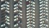 A parking lot filled with mostly white cars parked in a fish bone pattern.