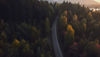An aerial shot of a forest in autumn.